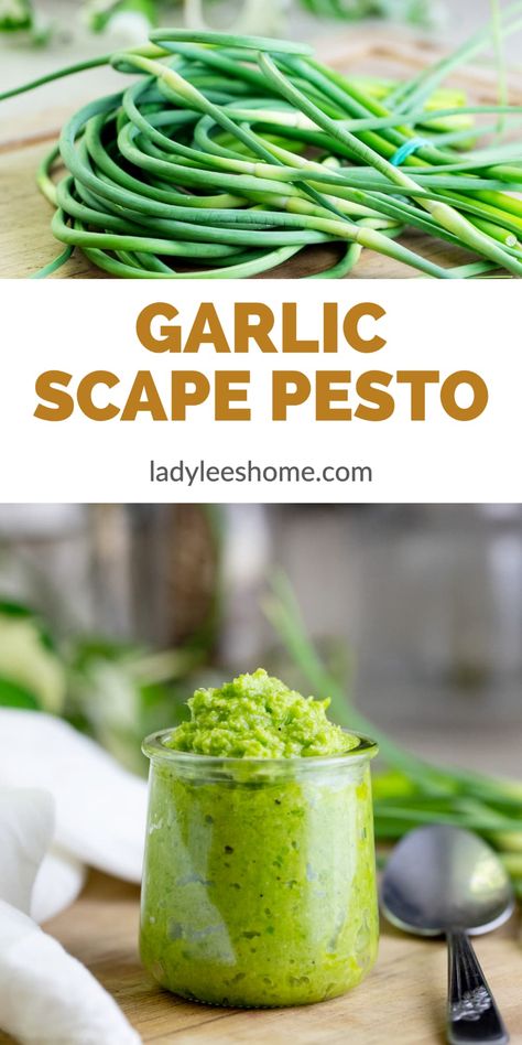 Garlic scape pesto is delicious, healthy, and very easy to make. It’s a great vegetable paste to have on hand and a great way to use garlic scapes. It’s also a great way to preserve garlic scapes. What To Do With Garlic, Garlic Scapes Recipes, Scapes Recipes, Scape Pesto Recipe, Scape Recipes, Preserving Garlic, Scape Pesto, Garlic Scape Pesto, Savory Pastries