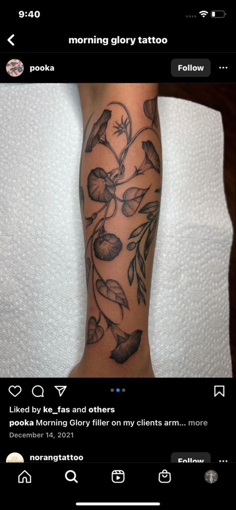 Tattoo Brown Skin, Tattoo Frame, Morning Glory Tattoo, Glory Tattoo, Arm Tats, Framed Tattoo, Black White Tattoos, White Tattoo, Tattoo Inspo