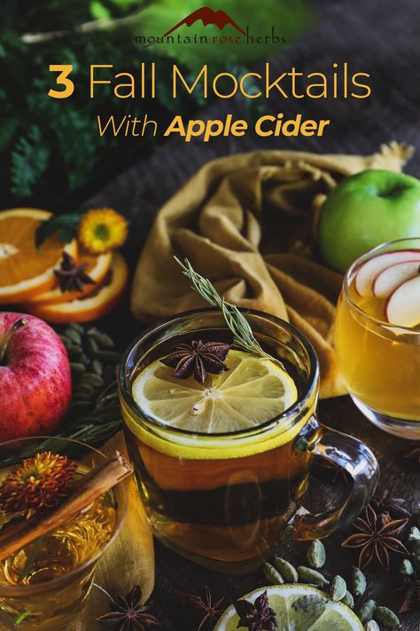 3 Alcoholic-Free Drinks for Fall: As summer is waning, we’re getting excited for newly pressed apple cider and also fall mocktails. Autumn in western Oregon brings a range of weather and temperatures, so to cover all our mocktail bases, we’ve pulled out the stops with three new cider-based recipes: two that are wonderfully refreshing for those warmer afternoons and one to help you cozy-up when there’s a chill in the air. Enjoy! Mocktails For Fall, Drinks For Fall, Cider Cocktail Recipes, Tea Blends Recipes, Spice Combinations, Hard Apple Cider, Dried Orange Peel, Cider Cocktails, Warm Apple Cider