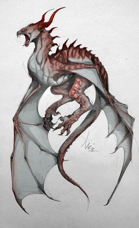 Dragon Poses, Dragon Anatomy, Dragon Sketch, Fantasy Beasts, Creature Drawings, Dragon Pictures, Fantasy Creatures Art, Arte Sketchbook, Dragon Artwork