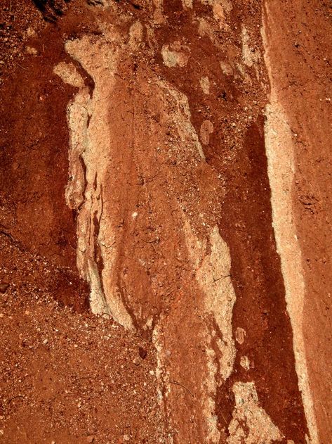 KDS Photo, Colorado, Colorado Springs Garden of the Gods, red sandstone rock outcrop with coloured patterns Red Sandstone Architecture, Red Rock Desert, Red Rock Aesthetic, Colorado Springs Aesthetic, Coyote Photography, Colorado Red Rocks, Sandstone Texture, Sandstone Rock, Desert Places