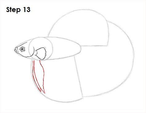 Betta Fish Drawing 13 Beta Fish Drawing Simple, How To Draw A Betta Fish, Beta Fish Sketch, How To Draw A Betta Fish Step By Step, Cute Betta Fish Drawing, Beta Fish Drawing, Fish Sketch, Sea Illustration, Cattle Farming