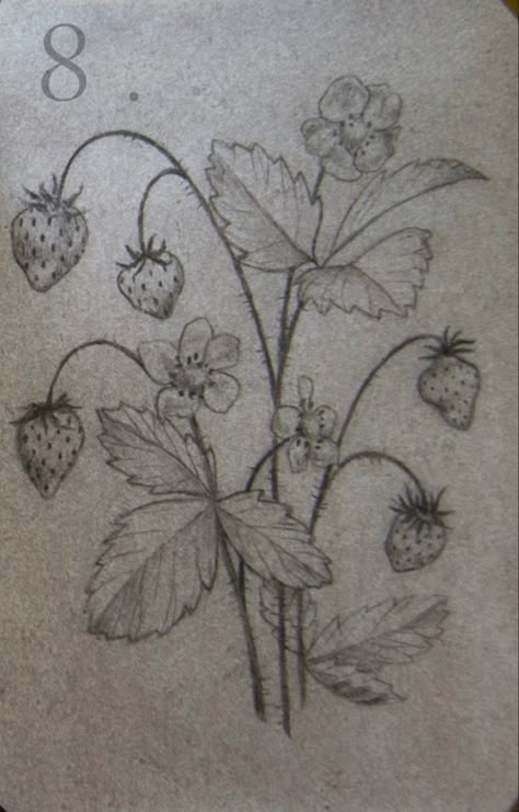 Wild Strawberry Tattoo Black And White, Wild Strawberries Tattoo, Strawberry Bush Tattoo, Wild Strawberry Tattoo, Strawberry Plant Tattoo, Botanical Illustration Tattoo, Patch Tattoos, Strawberry Bush, Strawberry Tattoo