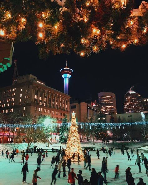 Curiocity Calgary on Instagram: “The Olympic Plaza elves have been hard at work transforming the rink into a Christmas wonderland! Tag someone you wanna go here with! Photo…” Explore Canada, Hard At Work, Christmas Wonderland, Christmas Mood, Christmas Photo, Tag Someone, Festive Season, Christmas Photos, Calgary