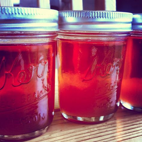 Rosemary-Infused Strawberry Mimosa Jelly Mimosa Jelly, Rosemary Jelly Recipe, Rosemary Jelly, Strawberry Mimosa, Freezing Fruit, Boston Food, Canning Pickles, Canning Jam, Homemade Jelly