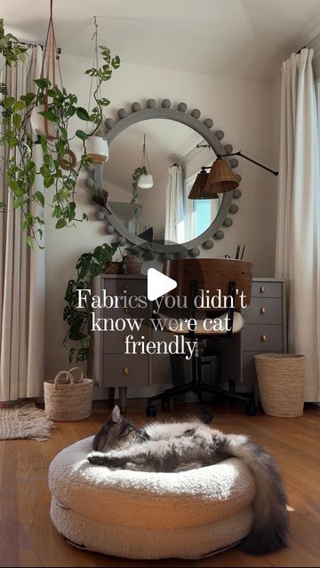 74K views · 6K likes | Cinder & Dobby | Interiors with Cats on Instagram: "Really any home fabric can be cat friendly if you’re willing to incorporate cat furniture into your house 🙀

You’ll need somewhere for your cats to scratch and something they can sleep on. 🛌

Then just apply double sided sticky tape to wherever your cat is scratching and your cat will move to the scratcher! 🙌🏻

This is how to design the interior of your home to meet both your needs and those of your cat…

❌ WITHOUT compromising home aesthetics

✅ While keep your cats happy and giving them what they need" Cat Scratcher Aesthetic, Indoor Cat Room Ideas, Cats Happy, Cat Area, Home Aesthetics, Future Family, Cat Scratcher, How To Design, Cat Friendly