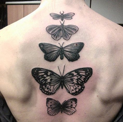 Tattoo Down Spine, Back Tattoo Women Spine, Back Tattoos Spine, Butterfly Tattoo Meaning, Butterfly Back Tattoo, Best Tattoo Ideas, Spine Tattoos For Women, Most Popular Tattoos, Butterfly Tattoo Designs