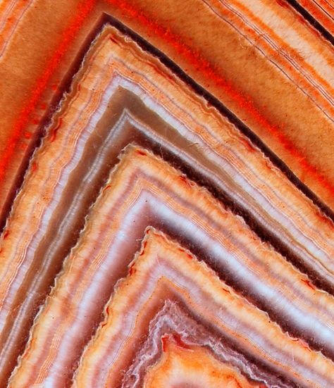 Lake Superior fortification agate..... Agate Aesthetic, Minerals Art, Up Pictures, Lake Superior Agates, Electron Microscope, Crystal Aesthetic, Geology Rocks, Geode Art, Bengal Cats