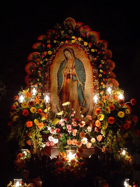 Nuestra Señora de Guadalupe | San Mateo Marian Procession Di… | Flickr Mexican Catholic Art, Mexico Wallpaper, Chicano Love, Virgin Mary Art, Mexican Culture Art, Virgin Of Guadalupe, Jesus And Mary Pictures, Blessed Mother Mary, The Virgin Mary