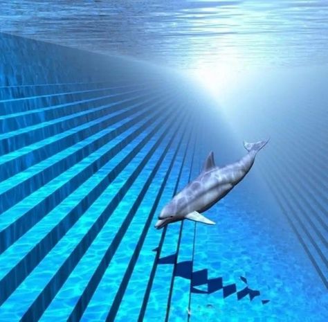 Underwater, dolphin, stairs, water. 2000s Future Core, Frutiger Aero Aesthetic, Frutiger Aero, Water Aesthetic, Arte 8 Bits, A Dolphin, Dreamcore Weirdcore, Weird Dreams, Retro Futurism