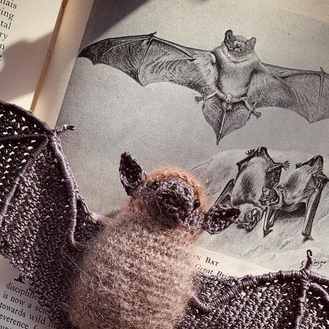 Knit Bat Pattern, Crochet Bat Pillow, Crochet Bat Bag, Crocheted Bat, Vampire Crochet, Knitted Bat, Crochet Bat Pattern, Bat Crochet Pattern, Amigurumi Bat