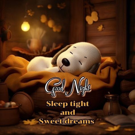 Good Night Snoopy Sleep Tight, Deceived Quotes, Good Night Snoopy, Snoopy Sleep, God Night, Good Night Hug, Good Night Blessings Quotes, Good Night Qoutes, Good Night Prayer Quotes