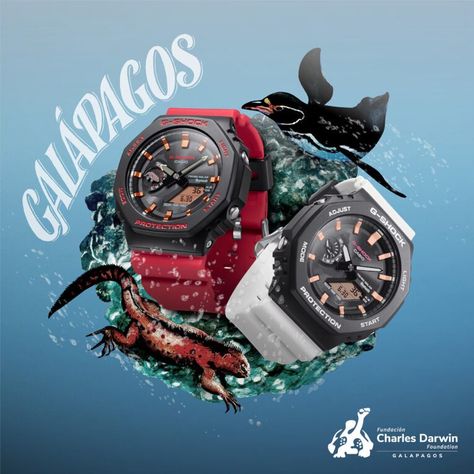 The latest Charles Darwin Foundation series includes two Galápagos-themed G-Shock GA-B2100CD watches inspired by the marine iguana and penguin - G-Central G-Shock Fan Site G Shock Frogman, Galapagos Penguin, Marine Iguana, Foundation Series, Casio Watches, New G Shock, Caddy Bag, Best Watches For Men, G Shock Watches