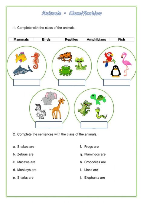 Classification Of Animals Worksheet, Animal Classification For Kids, Animals Classification, Animal Classification Activity, Animal Classification Worksheet, Live Worksheet, Mammals Activities, Classifying Animals, Esl Materials