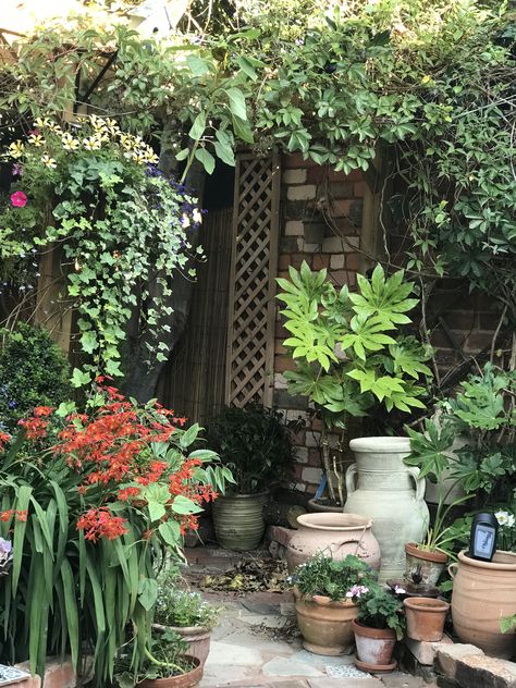 Small Front Courtyard Ideas, Victorian Front Garden, Easy Garden Ideas Landscaping, Side Path, Easy Garden Ideas, Arizona Decor, Patio Gardens, Small Courtyard, Small Courtyard Gardens