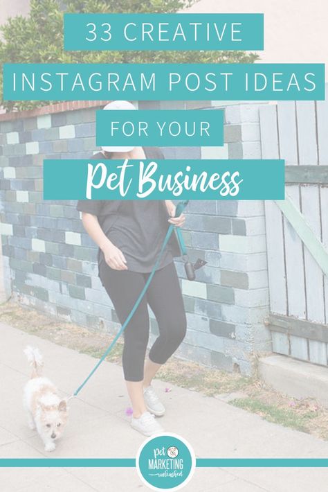 33 Creative Instagram Post Ideas For Your Pet Business Dog Boarding Business Ideas, Dog Posts Instagram, Dog Blog Post Ideas, Pet Instagram Ideas, Dog Instagram Post Ideas, Dog Business Ideas, Business Creative Ideas, Pet Marketing, Dog Breeding Kennels