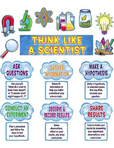 Think Like A Scientist, Science Bulletin Board, Science Display, Science Bulletin Boards, Science Classroom Decorations, Science Boards, Stem Challenge, 4th Grade Science, 6th Grade Science