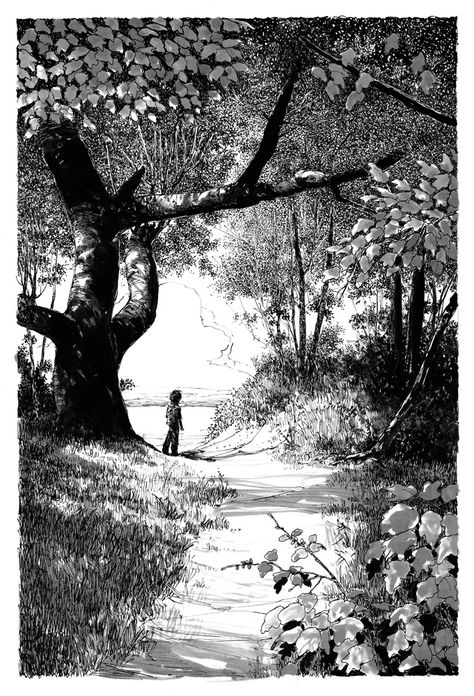 Related image Tree Ink Illustration, Black And White Landscape Illustration, Ink Landscape Drawing, Path In The Woods, Arte Peculiar, Pen Art Drawings, Landscape Sketch, Image Nature, Perspective Art