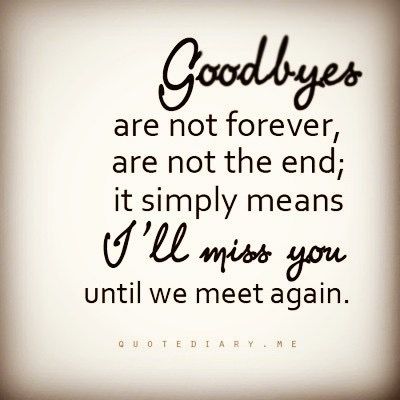 Goodbyes Are Not Forever, Goodbye Quotes, Until We Meet Again, I Miss You Quotes, Missing You Quotes, Life Quotes Love, Meet Again, We Meet Again, A Quote