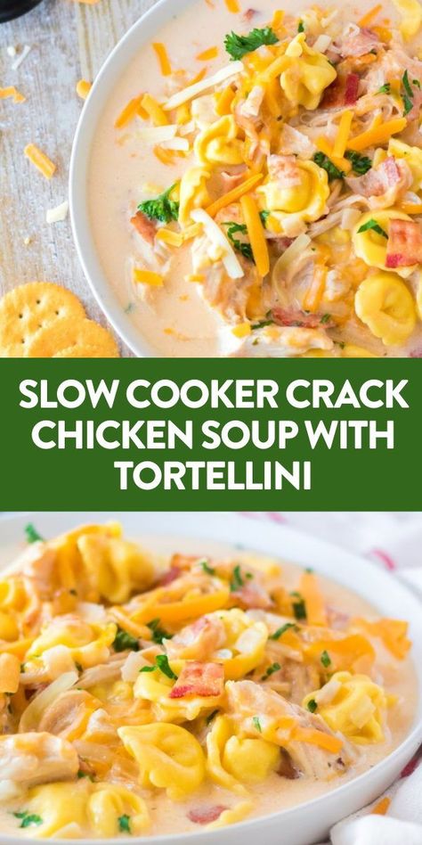 Crockpot Soup Creamy, Crockpot Soups Tortellini, Tortellini Chicken Soup Crockpot, Soup Recipes Slow Cooker Tortellini, Chicken Tortellini Soup Recipes Crockpot, The Best Crockpot Soup Recipes, Chicken Soup Recipes Tortellini, Crock Pot Meals That Can Cook All Day, Crockpot Creamy Chicken Tortellini Soup