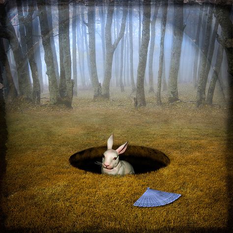 Maggie Taylor › alice’s adventures in wonderland Maggie Taylor, Rabbit Art, Adventures In Wonderland, Foto Art, Lewis Carroll, Through The Looking Glass, Rabbit Hole, Happy Thoughts, Surreal Art