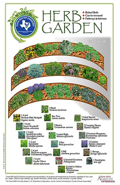 Herb-Garden design Denton County Master Gardening Association Herb Garden Design Layout, Herb Garden Layout, Herb Bed, Gardening Herbs, Spiral Garden, Witchy Garden, Small Herb Gardens, Roof Garden Design, Bucket Gardening