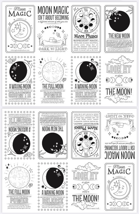 #7. MOON MAGIC https://coloringbookofshadows.com/wp-content/uploads/2024/03/ColoringBookOfShadows-GrimoireClub-07.pdf Witch Coloring Pages, Moon Crafts, Moon Journal, Grimoire Book, Magic Spell Book, Procreate Ipad Art, Magick Book, Witchy Wallpaper, Witchy Crafts