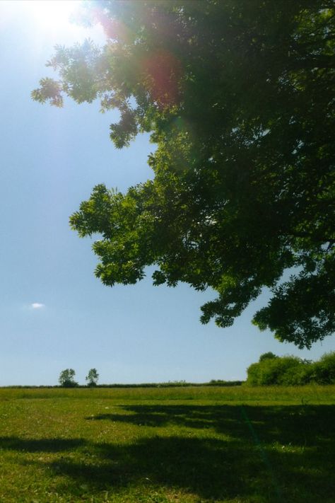 Aesthetic Sunshine, Aesthetic Outdoors, Photography Outside, Teenage Summer, Outside Aesthetic, Trees Aesthetic, Summer Trees, Summer Blue, Aesthetic Design