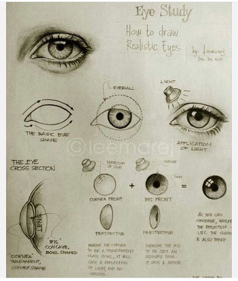 eye drawing tutorial and guidelines Sketches Realistic, Eyes Realistic, Eye Study, How To Draw Realistic, Realistic Eyes, Realistic Eye Drawing, Draw Realistic, Draw Eyes, Drawing Eyes