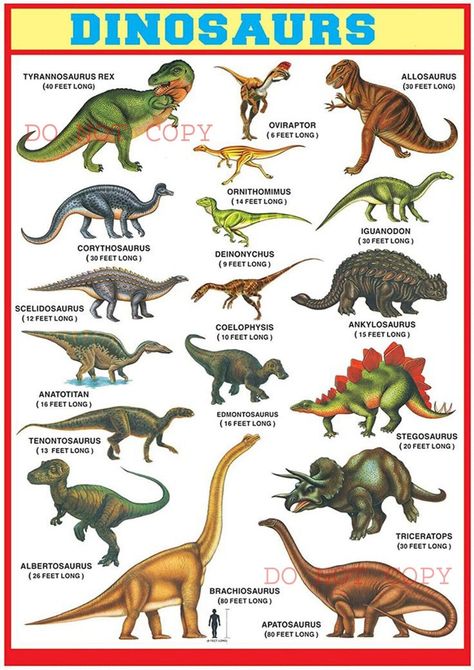 Types Of Dinosaurs, Animals Name In English, الكوارث الطبيعية, Dinosaur Facts, Dinosaur Alphabet, Dino Park, Pre Primary, Dinosaur Posters, Dinosaur Pictures