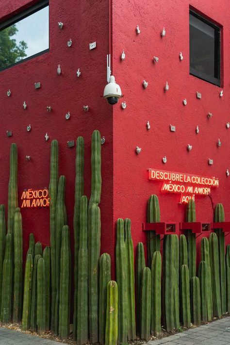 Most Instagrammable Places In Mexico City, Puebla City Mexico, Mexico City Murals, Mexico City Landscape, Mexico City Restaurant Design, Mexico City Pyramids, Mexico City Instagram Spots, Xochimilco Mexico City, Mexico City Instagram Pictures