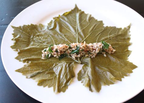 yalanji dolma dolmas dolmades stuffed grape leaves rolling tutorial vegan gluten free vegetarian arabic greek zenanzaatar recipe Greek Dolmades, Dolmades Recipe, Grape Leaves Recipe, Stuffed Vine Leaves, Stuffed Grape Leaves, Veggie Stock, Vine Leaves, Fruit Salad Recipes, Super Easy Recipes