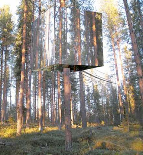 Your deer stand's got nothing on these custom hunting structures. Tree Stand Hunting, Deer Hunting Stands, Deer Stand Plans, Hunting Stands, Deer Blind, Coyote Hunting, Deer Hunting Blinds, Hunting Life, Tree House Designs