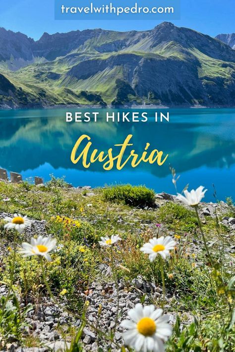 Green water lake surrounded by mountains with small daisies in the foreground. Austria Travel Guide, Austrian Alps, Hiking Routes, Hiking Destinations, Austria Travel, Colorado Hiking, Travel Activities, The Best Day, Europe Travel Tips