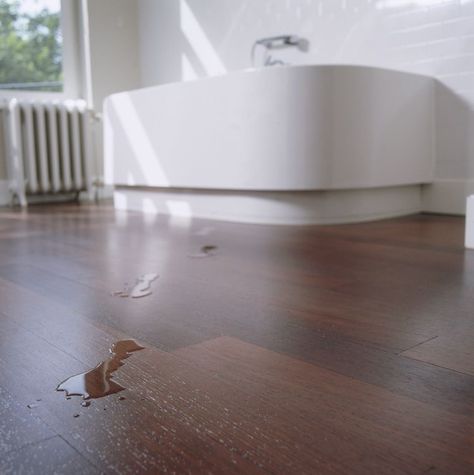 Are You Considering Hardwood Flooring for Your Bathroom? Hardwood Floors In Bathroom, Hardwood Floor Stain Colors, Floor Stain Colors, Prefinished Hardwood Floors, Wood Floor Finishes, Wood Floor Bathroom, Prefinished Hardwood, Floor Stain, Refinishing Hardwood Floors