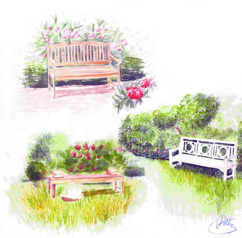 Garden Bench Illustration, Class Garden, Bench Drawing, Garden Watercolor, College Work, Park Art, Doodle Designs, Landscape Drawings, Flowers Art