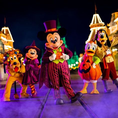 Halfway To Halloween, Halloween Party Tickets, Disney World Halloween, Disneyland Planning, Dumbo The Flying Elephant, Not So Scary Halloween, Scary Halloween Party, Halloween This Year, Halloween Magic