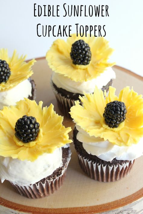 Edible Sunflower Cupcake Toppers - easy to make with candy melts and blackberries - see full tutorial from At Home on the Bay Edible Cupcake Decorations, Sunflower Cupcake Toppers, White Flower Cake Shoppe, Daisy Cupcakes, Sunflower Cupcakes, Vanilla Bean Cupcakes, Sunflower Cookies, Cupcakes Fondant, Cupcake Videos