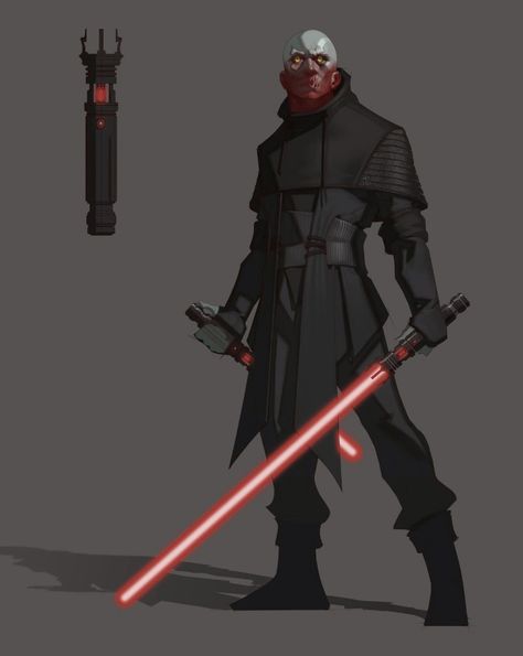 Sith Assassin, Sith Acolyte, Sith Costume, Female Sith, Star Wars Sith Lords, Sith Cosplay, Sith Lords, Arte Nerd, Star Wars Sith