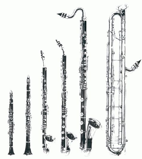 clarinet family Types Of Musical Instruments, Instruments Of The Orchestra, Alto Clarinet, Instrument Families, Clarinet Music, Clarinet Sheet Music, Woodwind Instrument, Band Jokes, Music Jokes