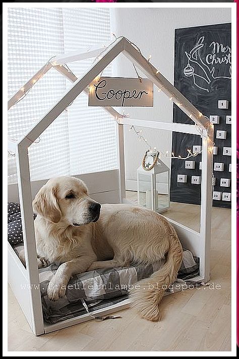 If you're looking for a dog house that will keep your pup cozy and dry, look no further than the best selling dog house on the market today. This dog house is designed to withstand the harshest weather conditions, making it perfect for all sorts of dogs. Dog Bedroom, Dogs Diy Projects, Dog House Diy, Diy Dog Bed, Casa Vintage, Dog Rooms, Dog Crafts, Dog Wallpaper, Dog Decor