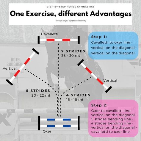 EQUUS ACADEMY on Instagram: "✅4 fences for a complete workout! HOW TO: 👉After a good warm up on the flat, start practicing the single fences. 👉Practice the single line and bending lines. 👉Proceed with step 1️⃣ , if you and your horse are comfortable move on to step 2️⃣. 🌟Add all the variations and combinations you want! THE EXPERT’S ADVICE: ✅When deciding your course, have a plan and stick to it. ✅Concentrate on directions between the jumps and trajectory during the bending lines. ⤵️If in do Horse Strengthening Exercises, Horse Bending Exercises, Horse Jumping Courses, Equestrian Exercises, Jump Exercises, Horse Jumping Exercises, Riding Ideas, Jumping Exercises, Pony Play