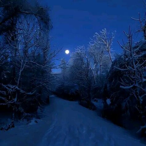 Snow Night, Blue Aesthetic Dark, Night Landscape, Winter Scenery, Blue Hour, Winter Pictures, Winter Night, Winter Blues, Winter Aesthetic