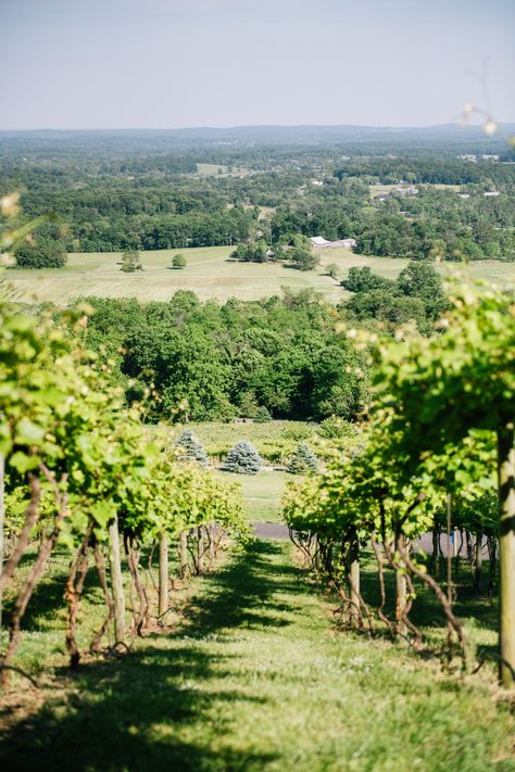 Bluemont Virginia, Italian Vineyard, Virginia Wineries, 36th Birthday, Virginia Travel, Rustic Italian, Shade Umbrellas, Birthday Week, Outdoor Blankets