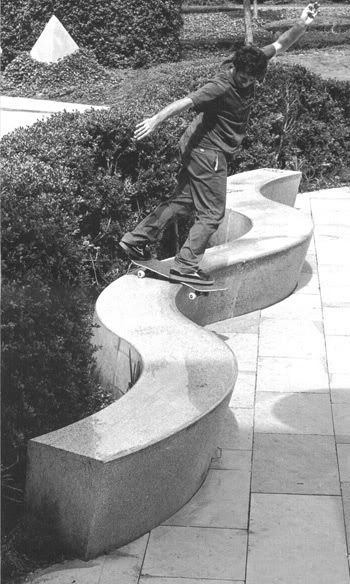 Mike Carroll Backside Lipslide Mike Carroll, Skateboard Pictures, Skate Shop, Milton Keynes, Skateboarding, Bird Bath, Skateboard, Surfing, Black And White