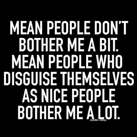 I hate it when I click with someone and they turn out to be just a wolf in sheep's clothing! >:( Stalking Quotes, Wolf In Sheeps Clothing, Circus Quotes, Clothing Quotes, Quotes Sarcastic, Mean Humor, Annoying People, Life Wisdom, Funny Memes About Girls