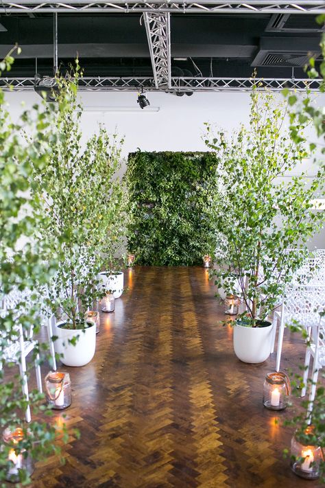 Grünpflanzen als Deko Wedding Amphitheater Decor, Wedding Decor Potted Plants, Wedding Decor With Trees, Wedding Decor Trees Indoor, Trees For Wedding Decor, Indoor Plants Wedding Decor, Wedding Trees Indoor, Indoor Trees Wedding, Trees Indoor Wedding