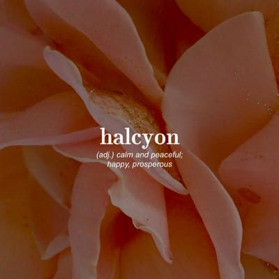 Halcyon | What's Your Word Aesthetic? - Quiz Wörter Tattoos, Beautiful Words In English, Unique Words Definitions, Uncommon Words, Fancy Words, One Word Quotes, Weird Words, Vie Motivation, Unusual Words