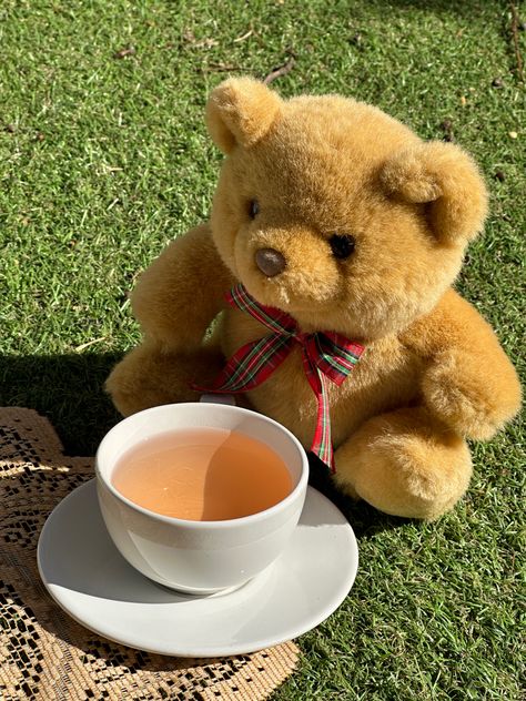 photo featuring teddy bear picnic aesthetic Teddy Bear Photography, Bear Photography, Bear Picnic, Picnic Aesthetic, Teddy Bear Picnic, Summer Afternoon, Photo Photography, Painting Projects, Pet Shop