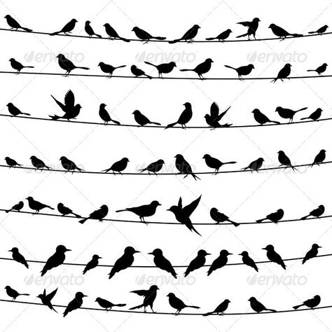 Bird on a wire4 - Animals Characters Stencil Pictures, Bird Silhouette Tattoos, Bird Silhouette Art, Birds Silhouette, Silhouette Tattoo, Bird Silhouettes, Bird On A Wire, Flying Bird Tattoo, Peace Bird